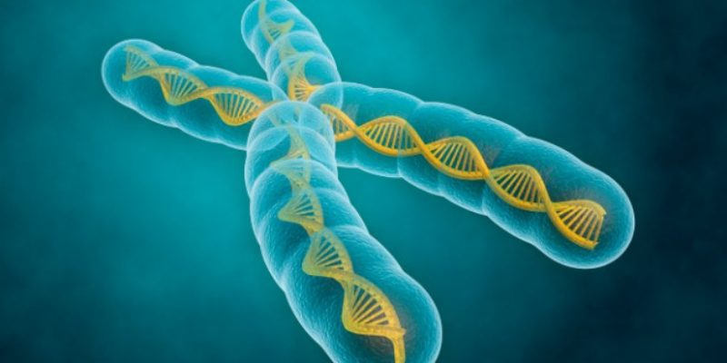 Introduzione ai principi della genetica